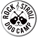 Rock and Stroll Dog camp